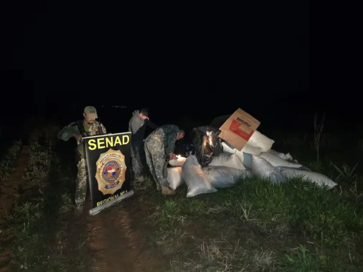 Agentes de la Senad,  incautan casi 3 toneladas de marihuana en  Karapaí