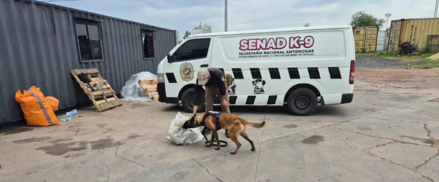 Detectan presunta marihuana marroquí en encomienda hallada en aeropuerto