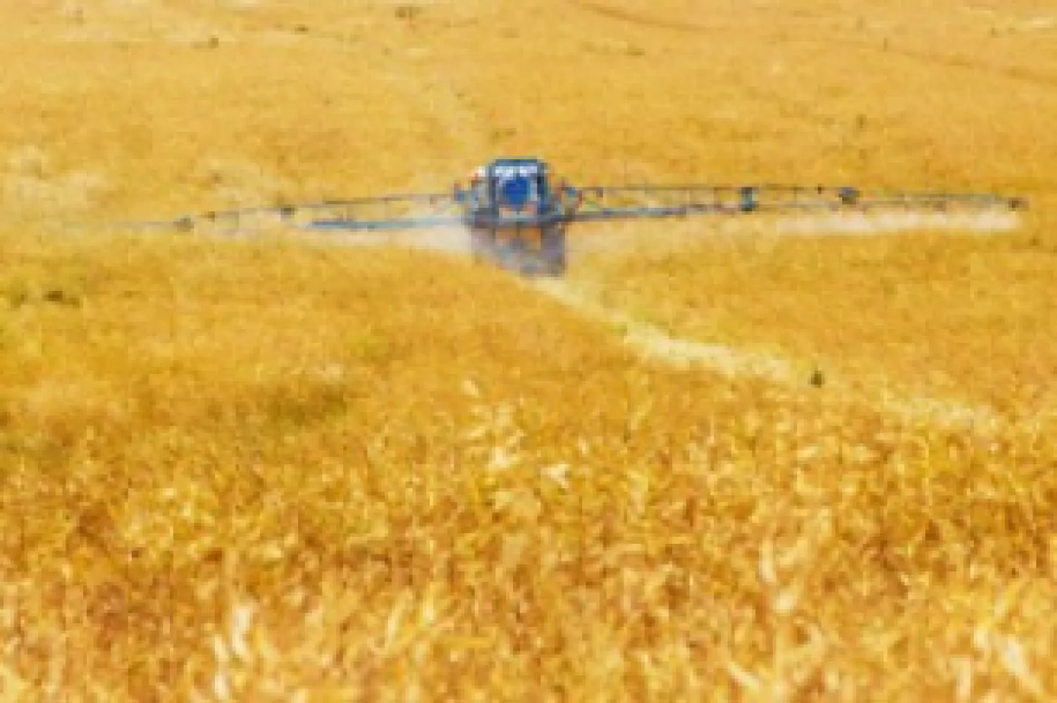 Mañana recordamos el Día Mundial contra el uso indiscriminado de Agroquímicos