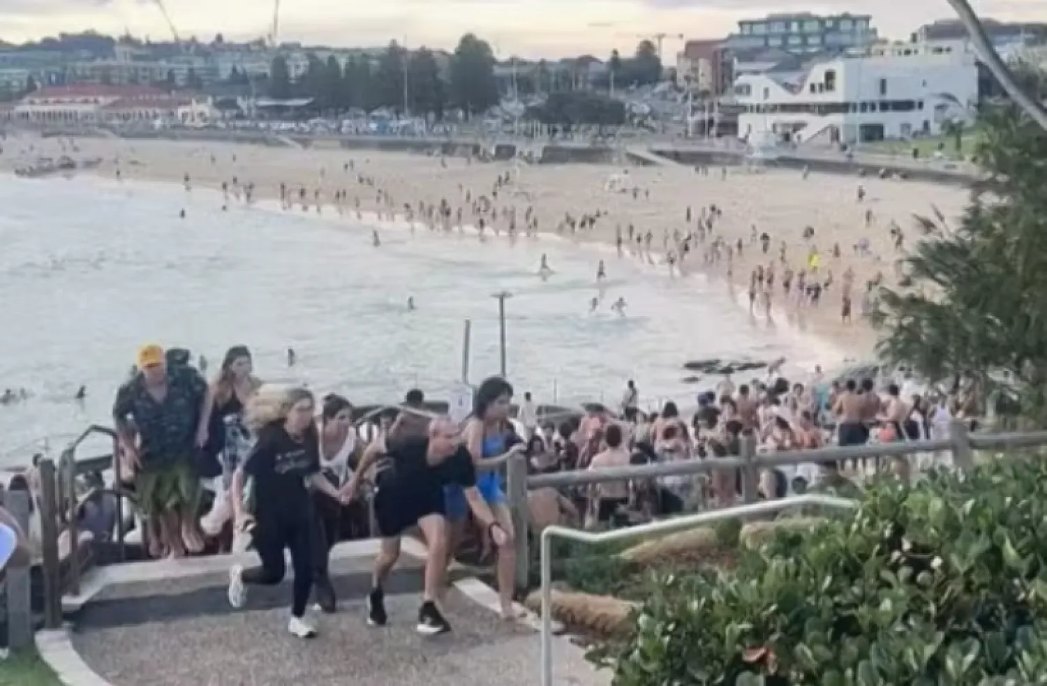 Tiroteo en Bondi Beach, al menos 11 muertos en un ataque terrorista