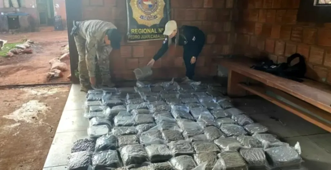 Senad erradica y decomisa cerca de 4 toneladas de marihuana en Capitán Bado