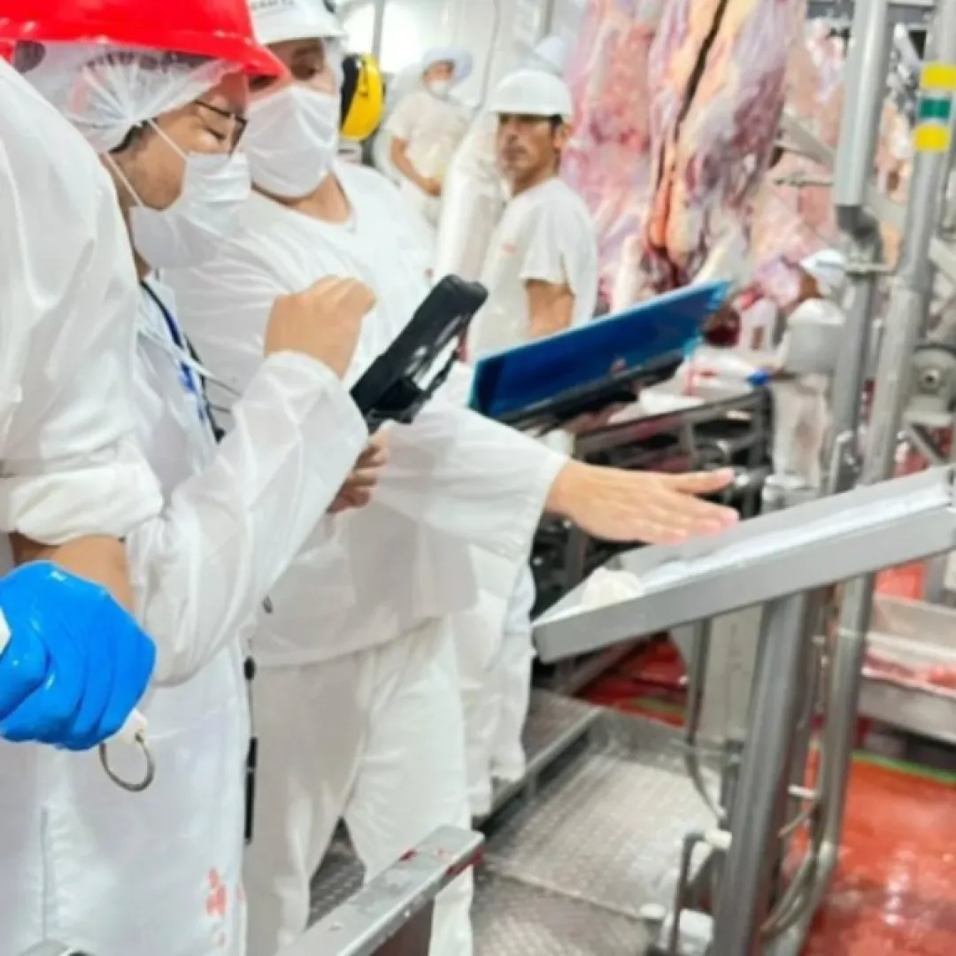 Unión Europea concluye satisfactoriamente auditoría sobre producción de carne bovina en Paraguay