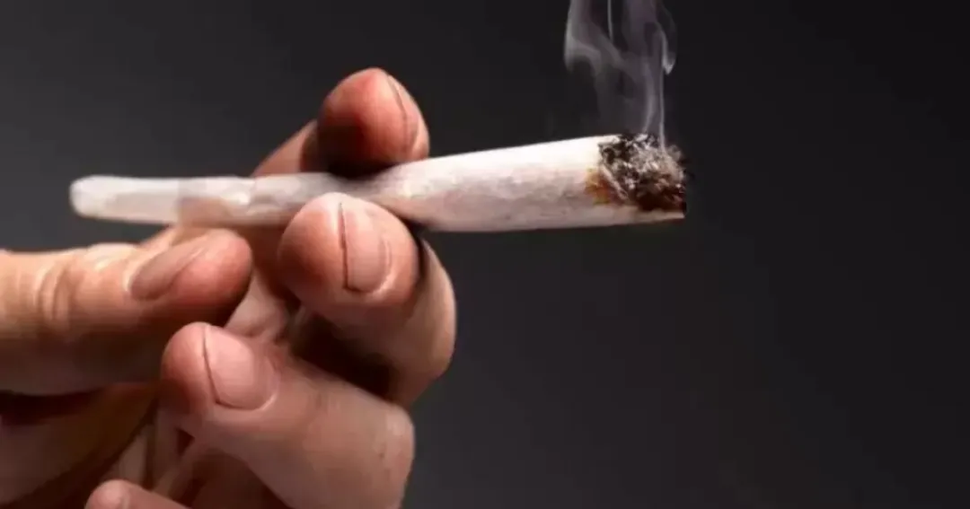 El consumo excesivo de marihuana aumenta más de 300% el riesgo de cáncer oral