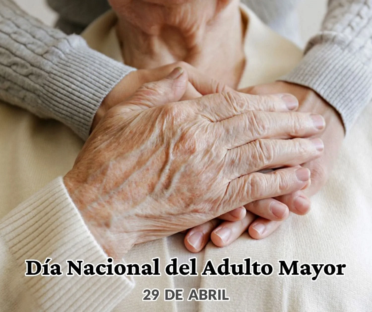 Día Nacional del Adulto Mayor