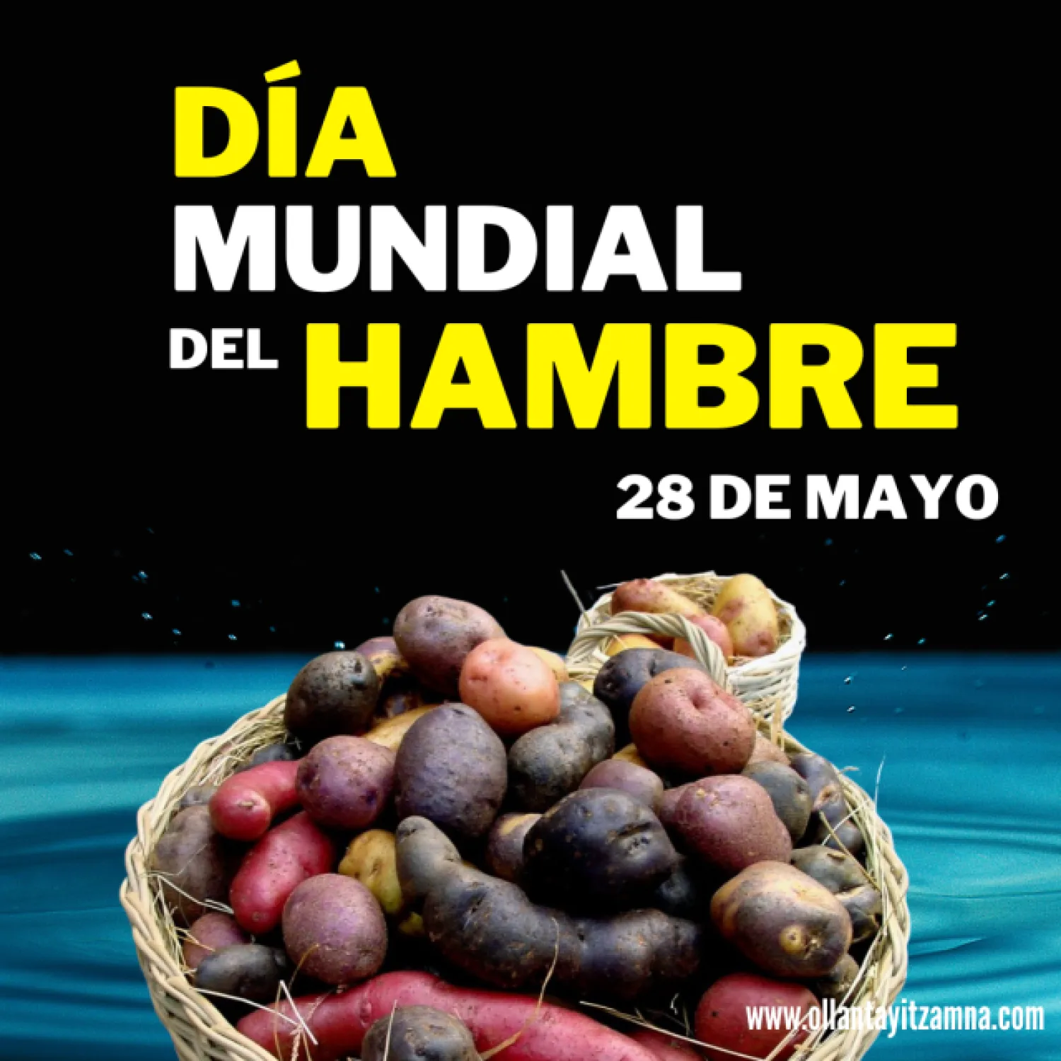 Este 28 recordamos también el "DIA MUNDIAL DEL HAMBRE"