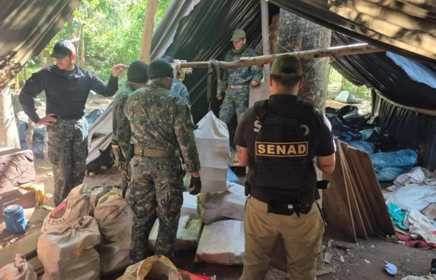 SENAD DESARTICULA CENTRO DE PRODUCCIÓN Y ACOPIO DE MARIHUANA Y GENERA MILLONARIO PERJUICIO AL NARCOTRÁFICO
