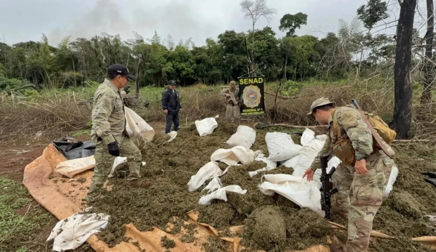 Megaoperativo conjunto en Amambay destruye 53 toneladas de droga