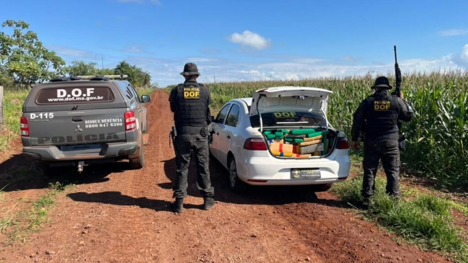 DOF incauta más de una tonelada de marihuana en Ponta Porã