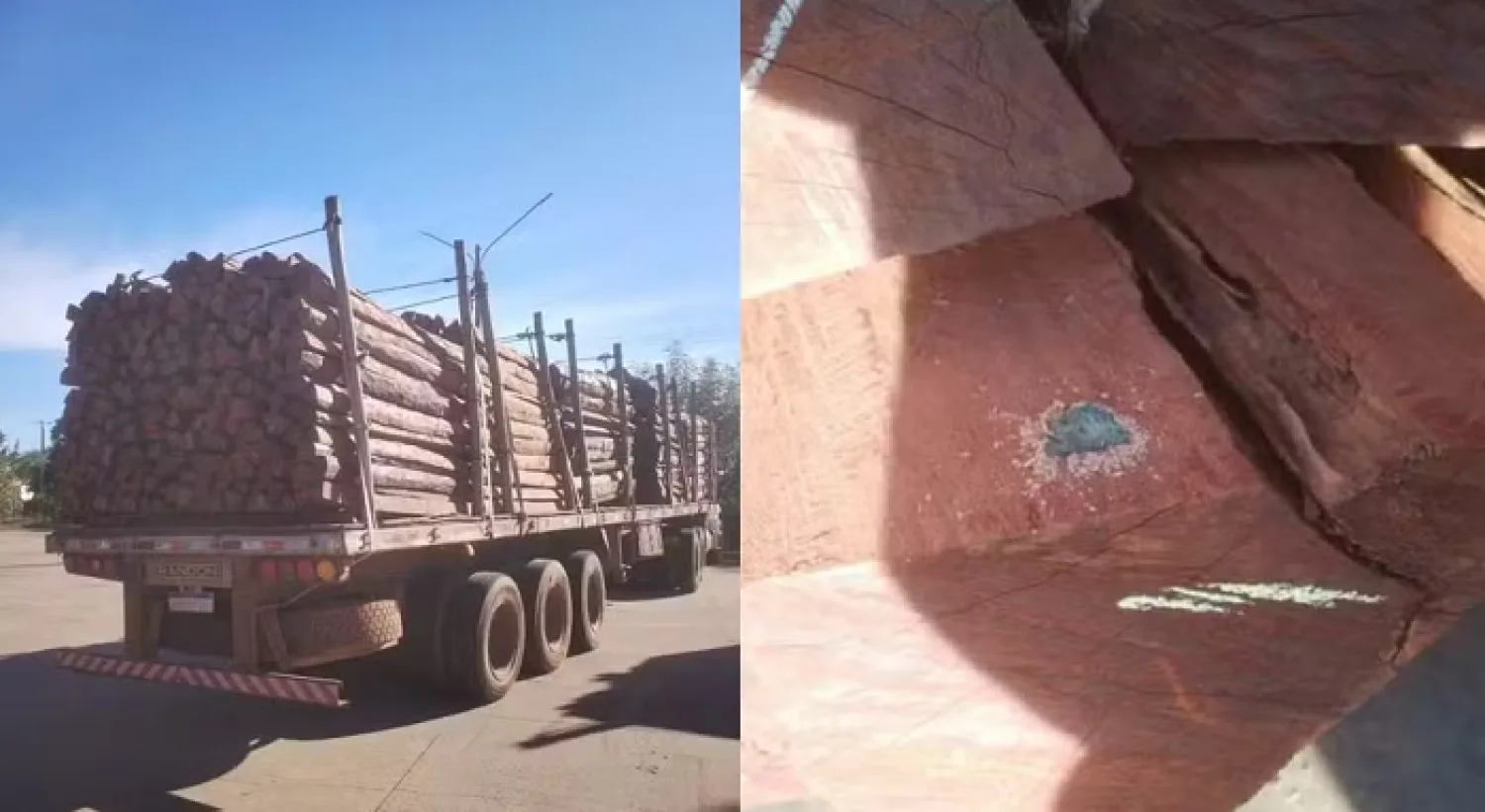 El informe de la P.F confirma la ausencia de cocaína en el envío de madera incautada de 260 toneladas