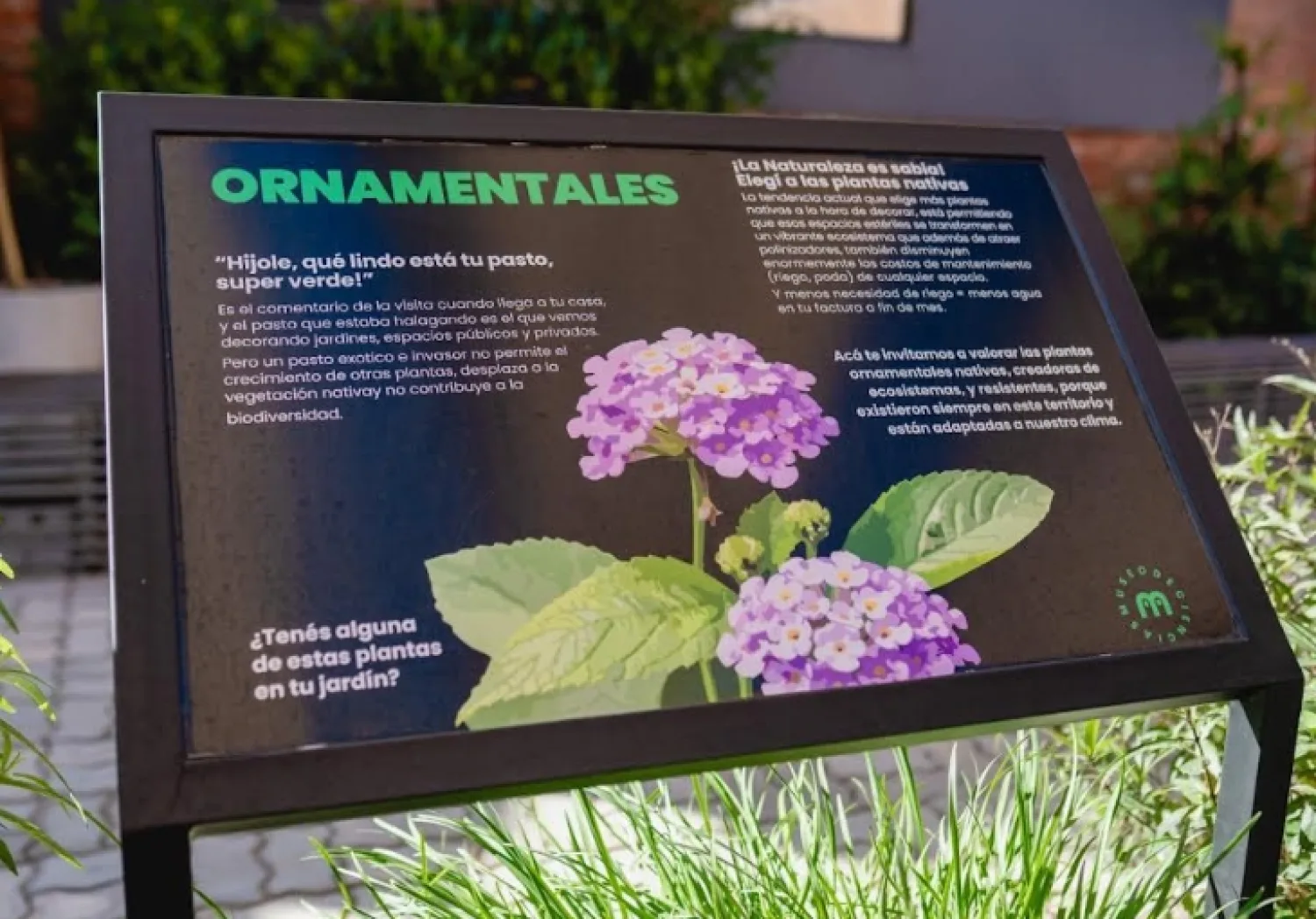 MuCi invita a seguir explorando la ciencia con experiencias para toda la familia durante el mes de julio