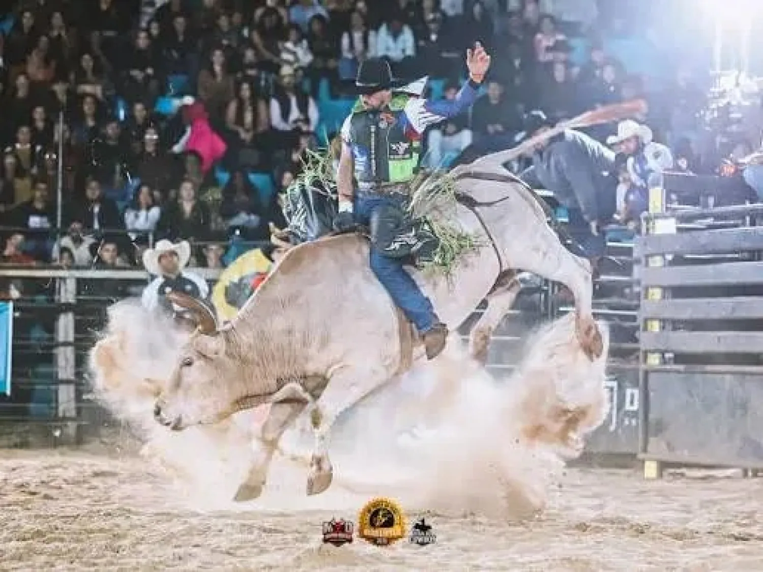La MD Bulls Rodeo Cup promete revolucionar la EXPORÃ 2026 en Ponta Porã