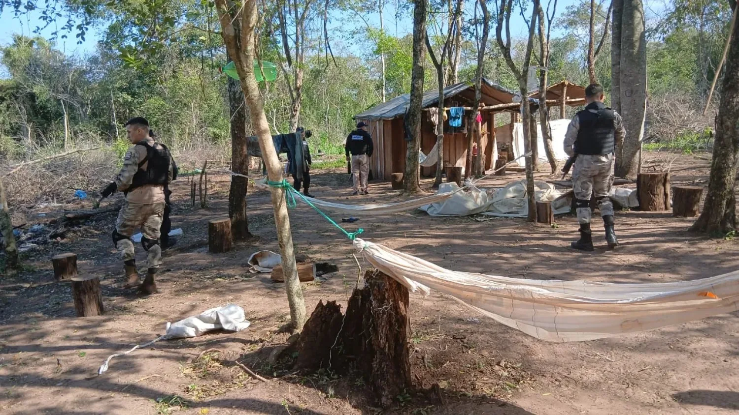 FISCALIA ALLANA SUPUESTA TALA DE ARBOLES EN LA ZONA DE BELLA VISTA
