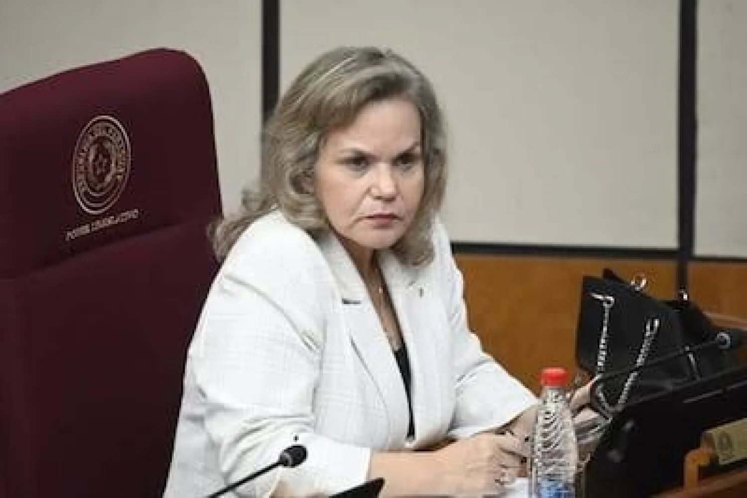 Lilian Samaniego apunta a ser la primera mujer presidenta del Paraguay: «Mi candidatura es contundente y clara», afirmó