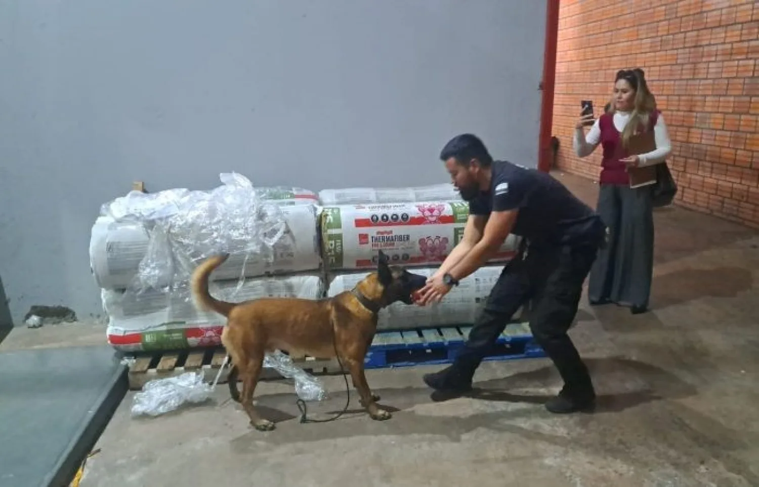 INTENTAN INGRESAR CARGA DE DROGA DESDE MIAMI PARA TRIANGULARLA HACIA BRASIL
