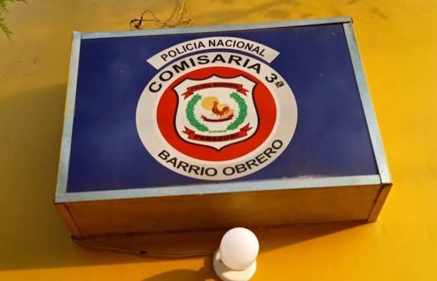 INFORME POLICIAL DEL DEPARTAMENTO DEL AMAMBAY