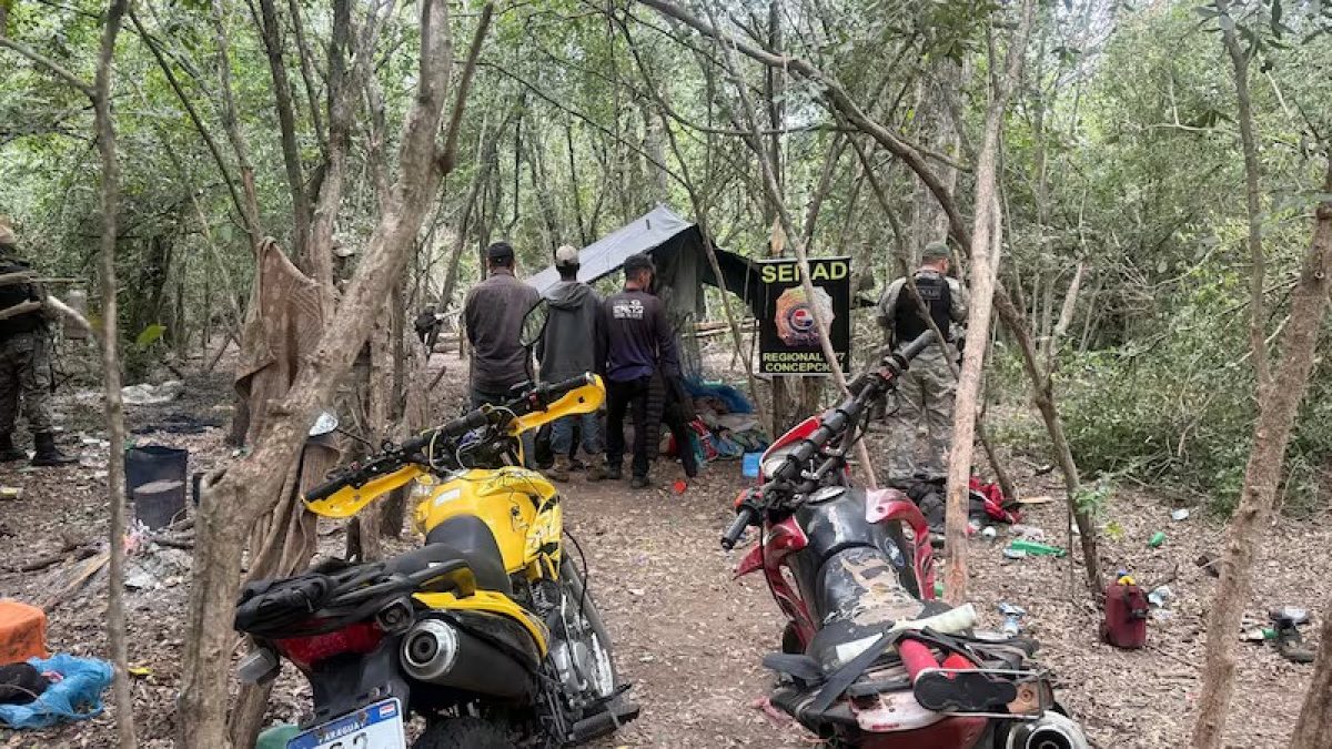Senad desmantela campamentos del narcotráfico en una reserva natural de Concepción