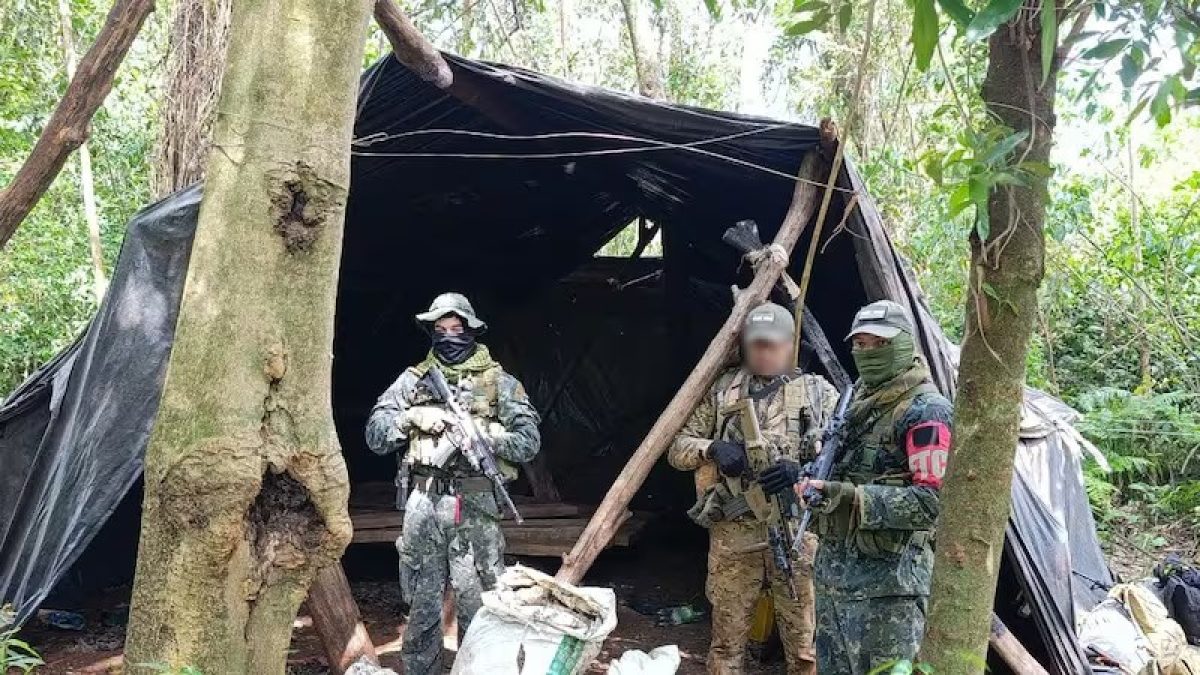 Comando Interinstitucional sigue con la destrucción de marihuana en Caazapá