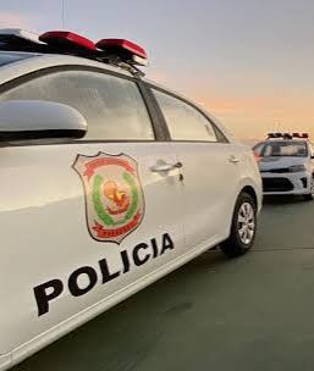INFORME POLICIAL DEL DEPARTAMENTO DEL AMAMBAY