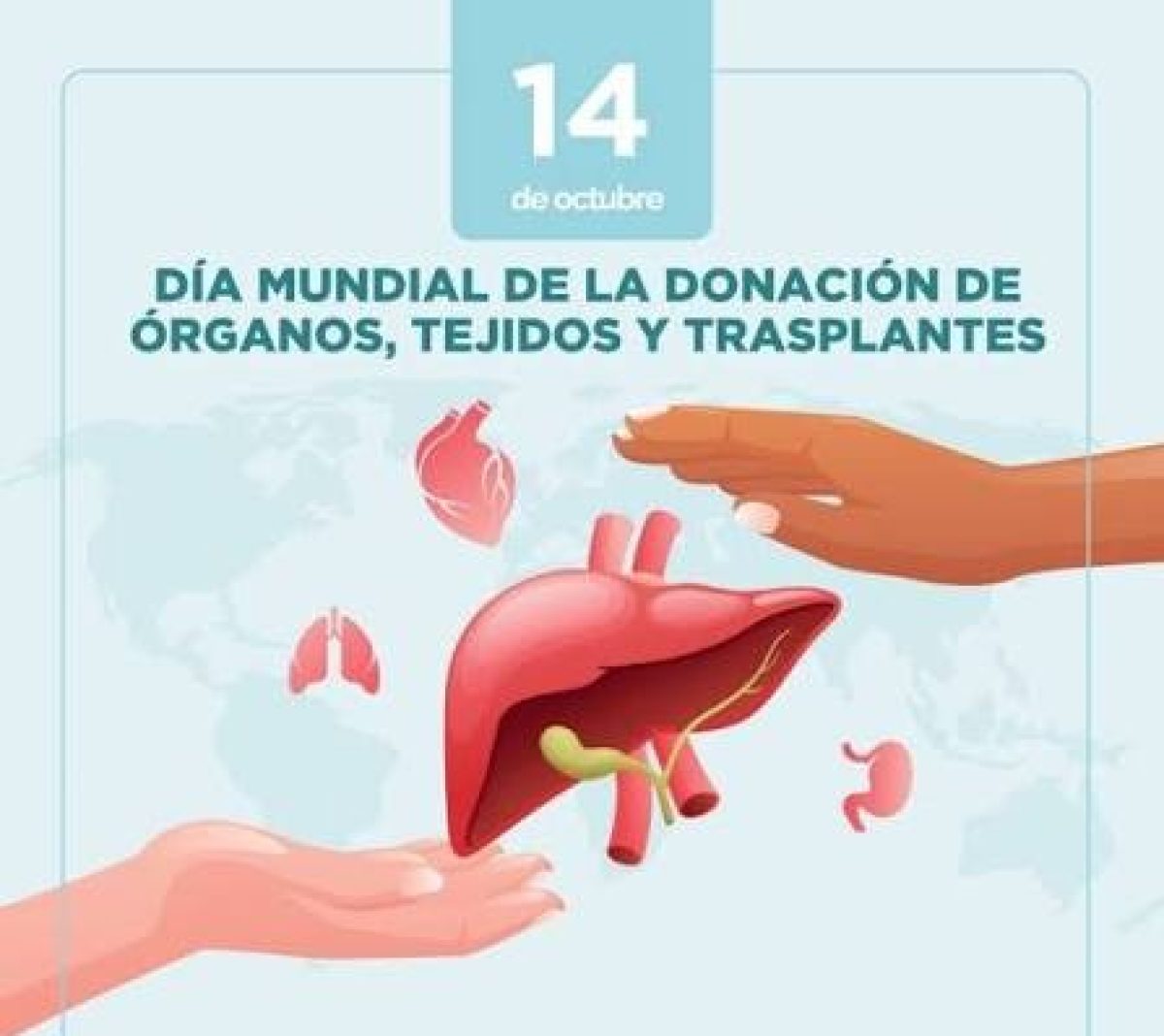 Día Mundial de la Donación de Órganos, Tejidos y Trasplantes