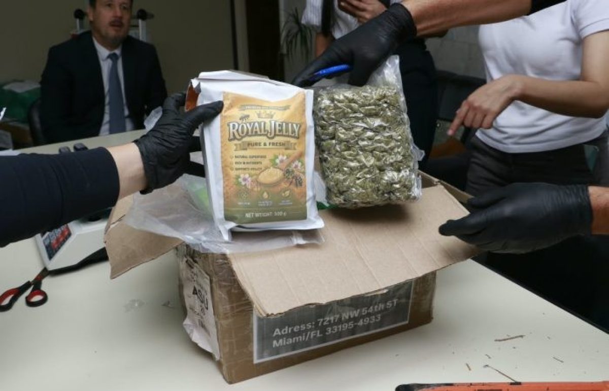 SENAD INTERCEPTA DROGA PREMIUM PROVENIENTE DE MIAMI