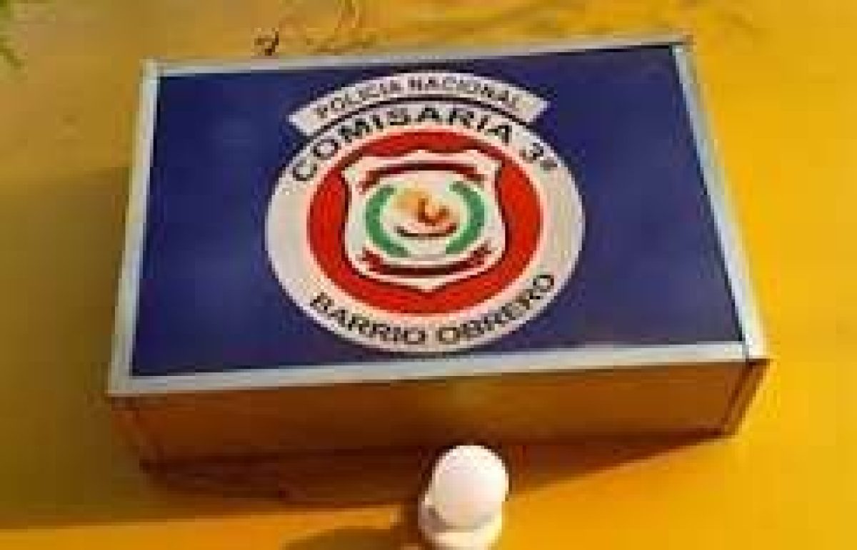 INFORME POLICIAL DEL DEPARTAMENTO DEL AMAMBAY