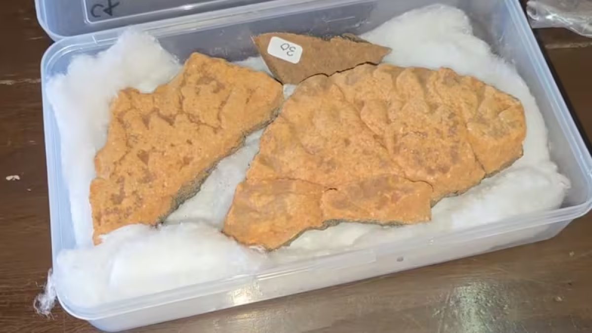Concepción: hallan piezas cerámicas de más de 800 años de antigüedad