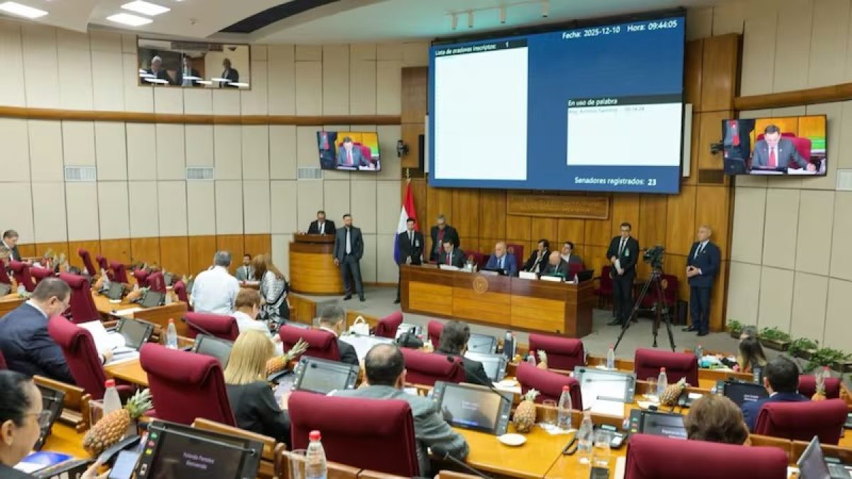 Pérdida de investidura de Zenaida se tratará la próxima semana