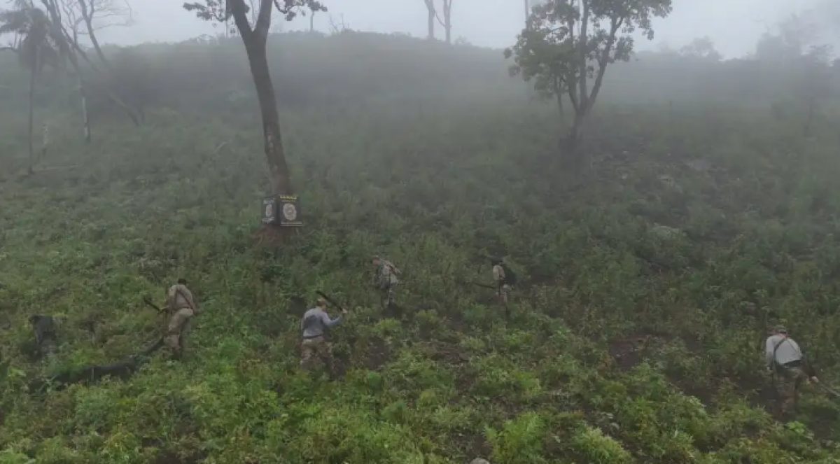 Senad saca de circulación 12 toneladas de marihuana en Bella Vista Norte