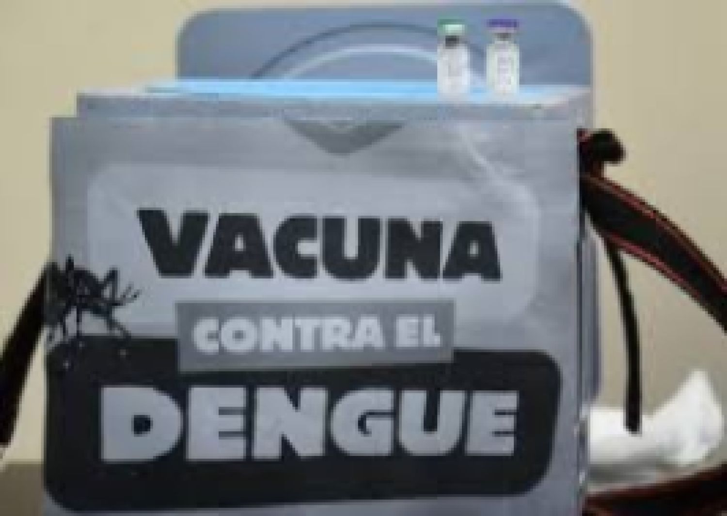 Salud insta a vacunar a adolescentes para evitar formas graves de dengue
