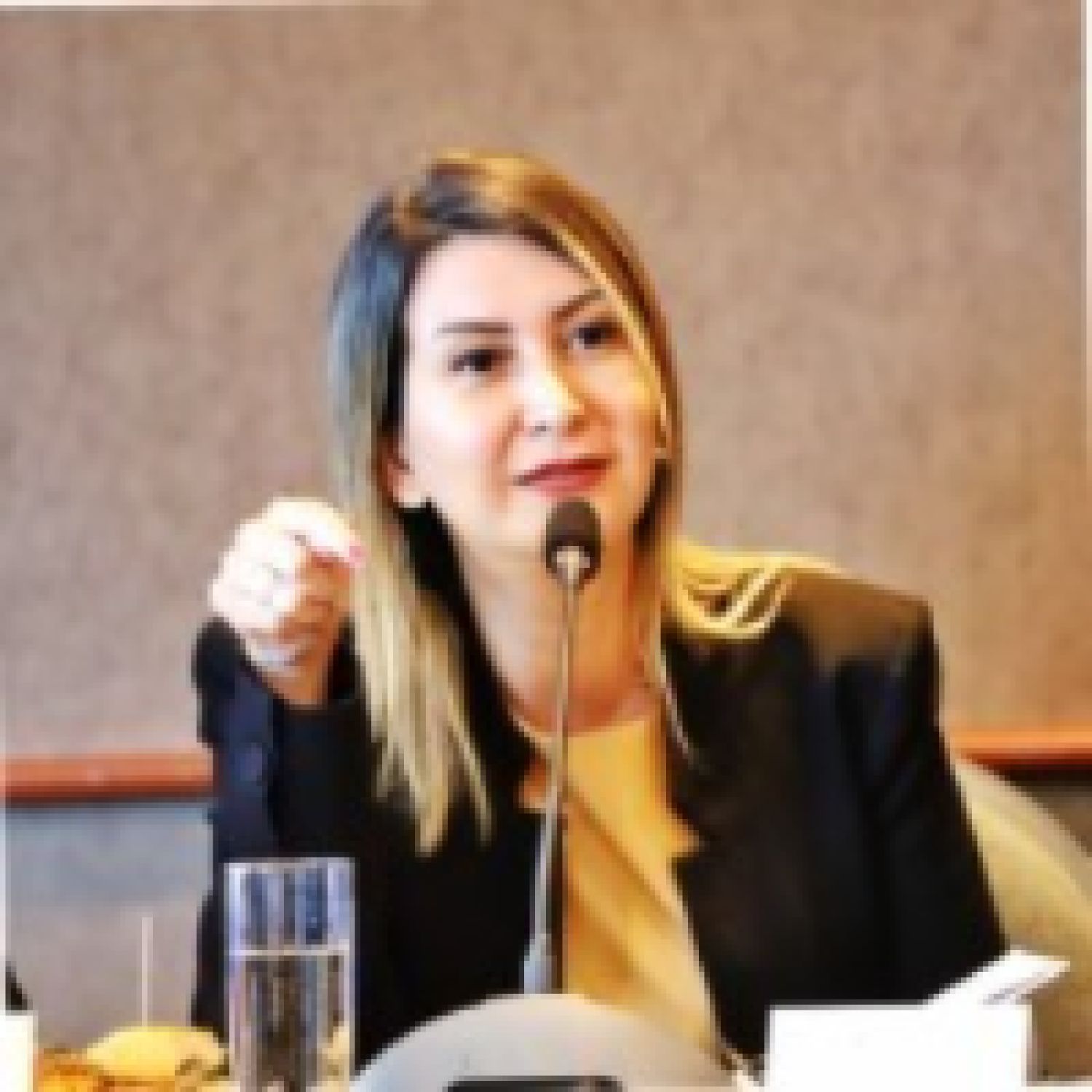 Ministra de Trabajo rechaza proyecto de día libre por cumpleaños en empresas