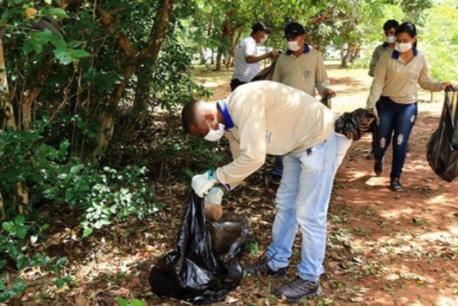 Solo 5 municipios en MS no registraron casos de chikungunya