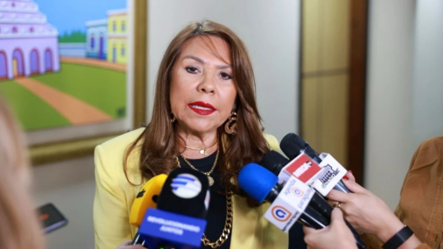Celeste Amarilla adelanta voto a favor de la reforma de la Caja Fiscal: “Es mejor un parche a nada”